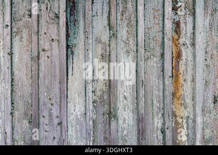 Verwitterte Holzbretter mit abblätternder Farbe, vertikale Dielen, Vorderansicht Stockfoto
