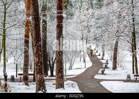 Ein kurviger gepflasterter Pfad führt durch einen schneebedeckten Park, der von hohen Kiefern gesäumt ist. Bänke säumen den Gang, entfernte Figuren gehen durch den tran Stockfoto