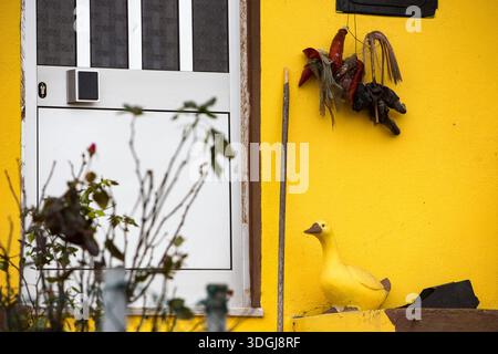Ein skurriles Gänseschmuck und eine rustikale Hexenpuppe mit einem Besen hängen an einer leuchtend gelben Hauswand. Ein Konzept von Volkskunst, lokalen Traditionen und Persönlichkeit Stockfoto