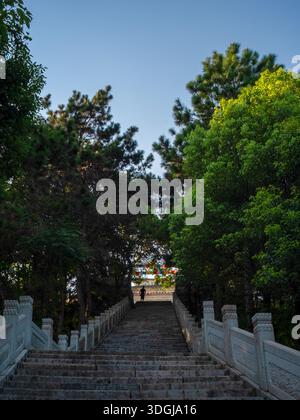 Eine breite Steintreppe mit weißem Steingeländer führt einen Berghang hinauf. Umgeben von üppig grünen Bäumen unter blauem Himmel, zeigt die Szene Stockfoto