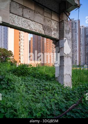 WUHAN, CHINA - 24. JULI 2016: Ein Blick auf eine alte Betonruine inmitten von bewachsenem Unkraut, im Kontrast zu modernen Wohnhochhäusern Stockfoto