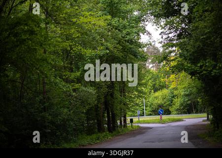 Eine schmale Asphaltstraße taucht aus einem dichten grünen Wald auf und trifft auf eine Autobahnrampe. Straßenschilder sind auf der Seite der größeren Straße im Hinterland zu sehen Stockfoto