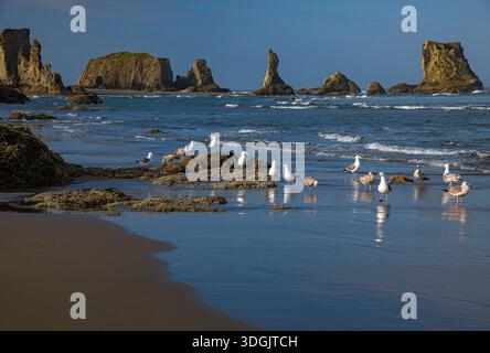 Bandon Beach, Oregon, USA Stockfoto
