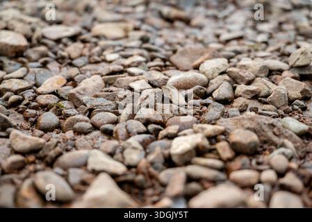 Hochauflösende Makroaufnahme aus glatten, nassen Flusssteinen und braunen Kieseln, perfekt für natürliche Texturen und Hintergrundanwendungen. Stockfoto