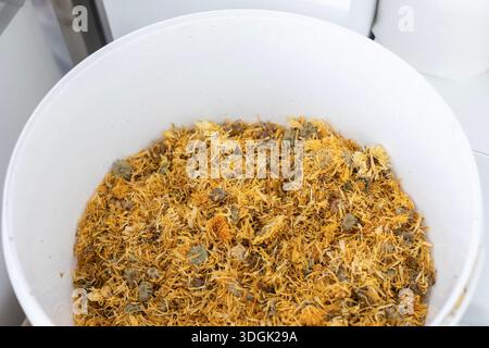 Eine Hochwinkelansicht von oben nach unten auf einen großen weißen Eimer gefüllt mit getrockneten Ringelblumen (Ringelblume). Dies ist ein Rohstoff für die handwerkliche Produktion Stockfoto