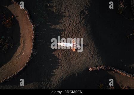 Luftaufnahme einer Frau auf Vulkanasche in La Geria, Lanzarote Stockfoto