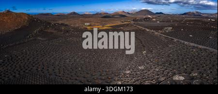 Panoramablick auf La Geria Weinberge und Timanfaya Kegel, Lanzarote Stockfoto