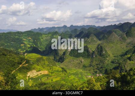 Dong Van Reisfelder sind atemberaubende Terrassenfelder im majestätischen Geopark Dong Van Karst Plateau in der Provinz Ha Giang, berühmt für ihre br Stockfoto