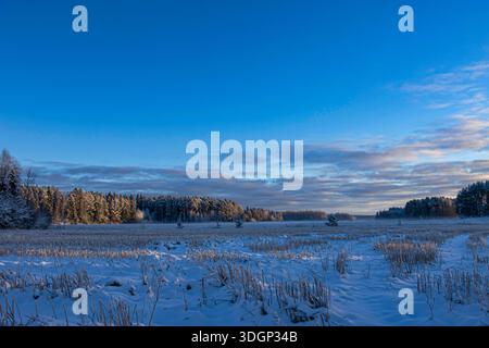 Wintermorgen und blauer Himmel im Winter Stockfoto