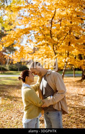 Ein Paar genießt einen zarten Moment in einem ruhigen Park, umgeben von lebhaften Herbstblättern in goldenen Tönen. Stockfoto