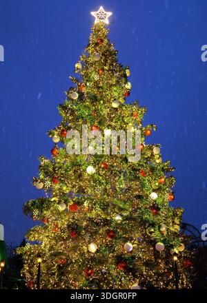 Großer beleuchteter Weihnachtsbaum, der nachts leuchtet, während der Schnee gegen einen tiefblauen Himmel fällt. Stockfoto