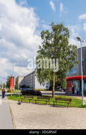 Eine friedliche urbane Szene mit leeren Holzbänken auf einem gepflasterten Platz neben einem üppig grünen Baum und modernen Gebäuden unter hellem bewölktem Himmel. Stockfoto