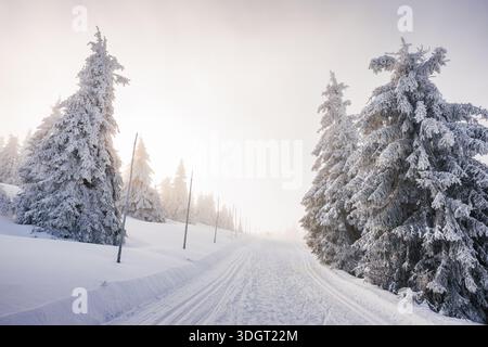 Langlaufloipe führt durch den Winterwald unter sonnigem Himmel. Schneebedeckter Wanderweg in den Bergen Stockfoto