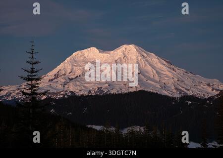 WA29058-00 ...WASHINGTON - am späten Nachmittag leuchtet der Mount Rainier von Snow Bowl Hut, Teil der Washington Trails Association. Stockfoto