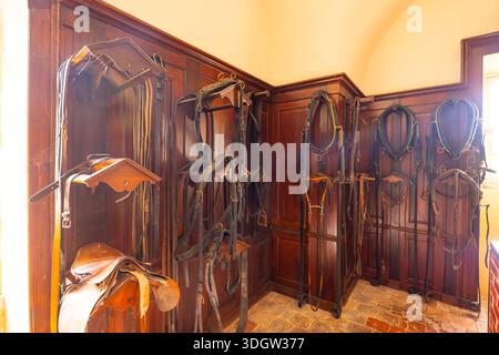 Alte Ledergeschirre und Pferdepfähle hängen an Holzpaneelen in einer traditionellen ländlichen Umgebung Stockfoto