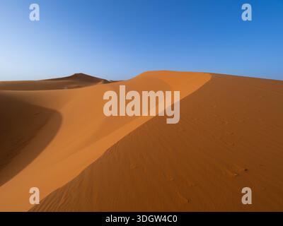 Minimalistischer Blick auf unberührte orange Sanddünen mit glatten Kurven und windgeformten Wellen unter einem riesigen klaren blauen Himmel in der Region Erg Chebbi der Stockfoto