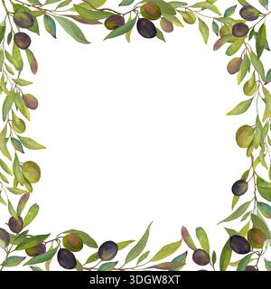 Quadratischer Rand mit Aquarell aus Olivenzweigen mit grünen und schwarzen Oliven auf hellem Hintergrund. Handgemalte botanische Illustration mit leerem Cent Stockfoto