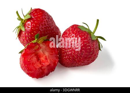 Drei rote Erdbeeren, isoliert auf weißem Hintergrund, Vorderansicht. Stockfoto
