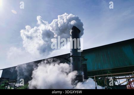 Eine dramatische Aufnahme aus dem niedrigen Winkel, bei der dicker weißer Dampf- und Rauchausstoß aus einem hohen Industrieschornstein in einer großen Palmölverarbeitungsanlage auftaucht Stockfoto