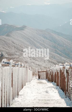 Schneebedeckte Holztreppen führen durch eine ruhige Winterlandschaft auf dem Mount Gyebangsan, Südkorea, und schaffen starke Perspektiven Stockfoto