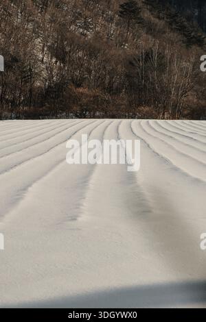 Windförmige Schneewellen, die in Südkorea eine weiche, minimale Wintertextur bilden, schaffen ein abstraktes natürliches Muster mit sanften Linien und großzügiger Kopie Stockfoto
