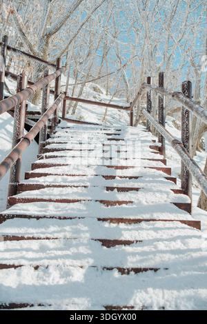 Schneebedeckte Holztreppen führen durch eine ruhige Winterlandschaft auf dem Mount Gyebangsan, Südkorea, und schaffen starke Perspektiven Stockfoto