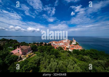 Panoramablick auf den Hügel über grüne Gärten und Olivenbäume in Richtung der historischen Stadt und der Adria. Stockfoto