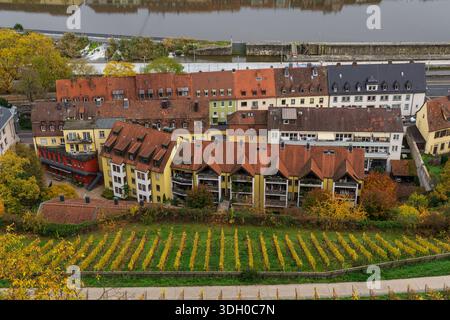 Erhöhter Blick auf Wohnhäuser mit roten Ziegeldächern und Balkonen neben Weinbergen am Main in Würzburg. Stockfoto