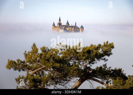 Burg Hohenzollern im Nebelmeer zum Sonnenaufgang, die Burg Hohenzollern bei Hechingen Zollernalbkreis, schwebt im Morgenlicht über einem Meer aus Nebel ein stiller Moment über den Wolken. Hechingen Baden-Württemberg Deutschland Hechingen *** Schloss Hohenzollern im Nebelmeer bei Sonnenaufgang, Schloss Hohenzollern bei Hechingen Zollernalbkreis , schwimmt im Morgenlicht über Nebelmeer ein ruhiger Moment über den Wolken Hechingen Baden Württemberg Deutschland Hechingen Copyright: X xonw-imagesx/xAlexanderxWolfx Stockfoto