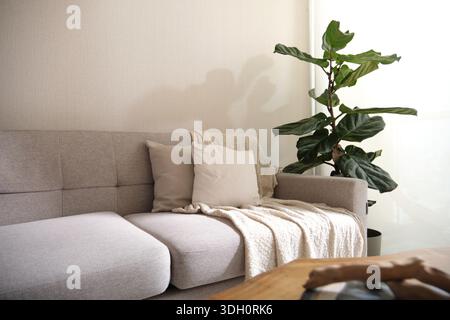 Minimalistisches Wohnzimmer mit Sofa, warmer Decke, Kissen und grüner Pflanze Stockfoto