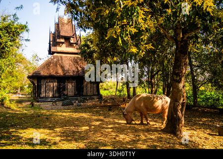 Traditioneller Holztempel mit kunstvollen Schnitzereien steht auf einer sonnigen Waldlichtung, während eine einheimische Kuh unter Bäumen weidet Stockfoto