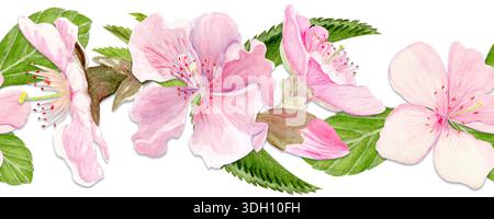 Blumenrand mit Kirschblüten, nahtloses horizontales Layout, handbemalter Stil mit Sakura-Blüten und -Blättern, wiederholtes Muster für Frühlingsbranding Stockfoto