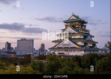 Osaka, Japan - 7. November 2023: Der Hauptturm der Burg Osaka wird in der Abenddämmerung beleuchtet, mit modernen Stadtgebäuden und Bäumen im Hintergrund unter teilweise bewölktem Himmel. Stockfoto