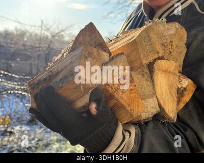 Ein älterer Mann in zerrissenen Handschuhen hält Feuerholz. Stockfoto