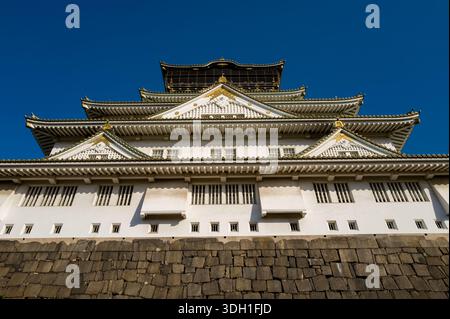 Osaka, Japan - 7. November 2023: Der Hauptturm der Burg Osaka ist aus einem niedrigen Winkel zu sehen und zeigt seine mehrstöckigen weißen Wände, Ziegeldächer mit Goldverzierungen und einen Steinfuß unter einem klaren blauen Himmel. Stockfoto