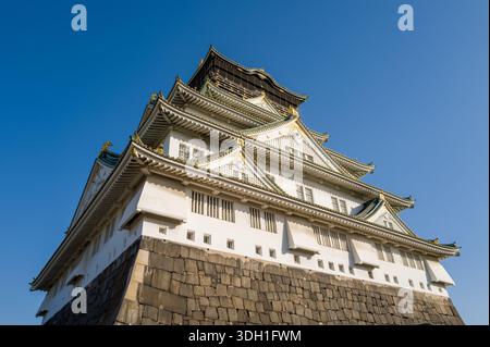 Osaka, Japan - 7. November 2023: Der Hauptturm der Burg Osaka ist aus einem niedrigen Winkel zu sehen und zeigt seine mehrstöckigen weißen Wände, Ziegeldächer mit Goldverzierungen und einen Steinfuß unter einem klaren blauen Himmel. Stockfoto