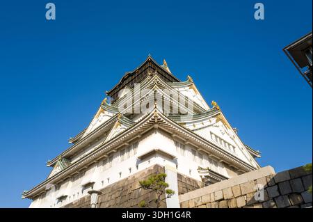 Osaka, Japan - 7. November 2023: Der Hauptturm der Burg Osaka ist aus einem niedrigen Winkel zu sehen und zeigt seine mehrstöckige Struktur mit weißen Wänden, gekachelten Dächern und goldenen Ornamenten unter einem klaren blauen Himmel. Stockfoto
