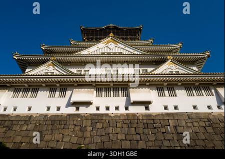 Osaka, Japan - 7. November 2023: Der Hauptturm der Burg Osaka ist aus einem niedrigen Winkel zu sehen und zeigt seine mehrstöckigen weißen Wände, Ziegeldächer mit Goldverzierungen und Steinmauer unter einem klaren blauen Himmel. Stockfoto