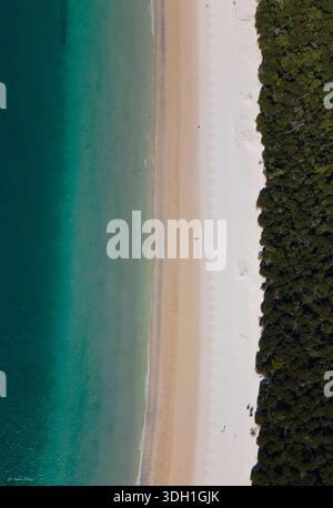 Türkisfarbenes Wasser aus der Vogelperspektive trifft auf unberührten weißen Sand, umgeben von grünen Wäldern, ein atemberaubender Kontrast zur Naturpalette, Whitsundays, Queensla Stockfoto