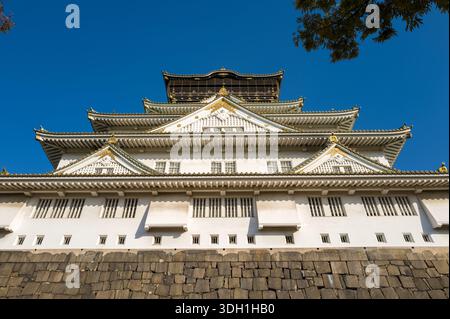 Osaka, Japan - 7. November 2023: Der Hauptturm der Burg Osaka ist aus einem niedrigen Winkel zu sehen und zeigt seine mehrstöckigen weißen Wände, Ziegeldächer mit goldenen Ornamenten und einen Steinfuß unter einem klaren blauen Himmel mit sichtbaren Ästen am oberen Rand. Stockfoto