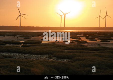 Sonnenuntergang über Feuchtgebieten an der Küste mit Windturbinen am Horizont, goldenem Himmel, der sich auf den Wattflächen spiegelt, ruhiges Wasser Stockfoto
