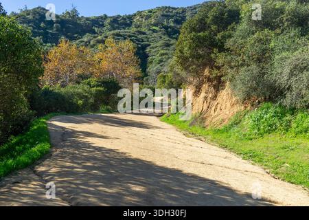 Eine gewundene, unbefestigte Straße durchquert eine grüne Hügellandschaft, die von Bäumen, Sträuchern und freiliegender Erde umgeben ist, Griffith Park. Stockfoto