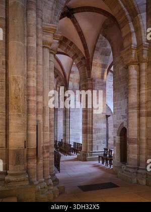 Der rote Sandstein gotische Dom des Basler Münsters mit Blick auf den Rhein Stockfoto