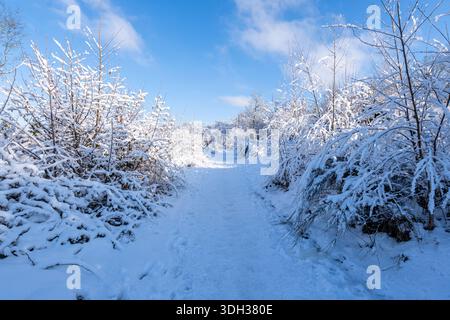 Wanderweg in einer verschneiten Landschaft im deutschen Oberberg Stockfoto
