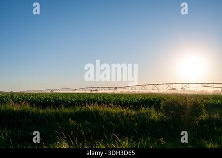 Zentrale Schwenksysteme oder Bewässerungssprinkler auf einem Bauernhof an der Grenze zu Minnesota und North Dakota Stockfoto
