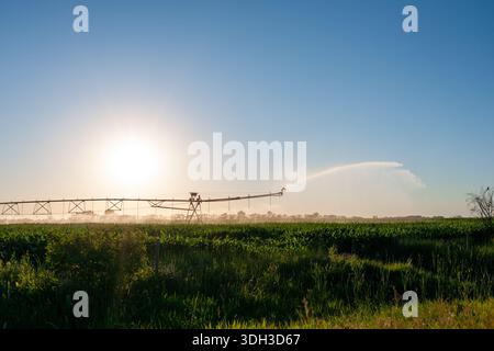 Zentrale Schwenksysteme oder Bewässerungssprinkler auf einem Bauernhof an der Grenze zu Minnesota und North Dakota Stockfoto