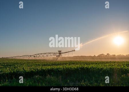 Zentrale Schwenksysteme oder Bewässerungssprinkler auf einem Bauernhof an der Grenze zu Minnesota und North Dakota Stockfoto