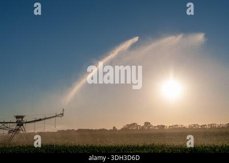 Zentrale Schwenksysteme oder Bewässerungssprinkler auf einem Bauernhof an der Grenze zu Minnesota und North Dakota Stockfoto