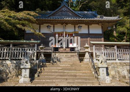 Shirarahama, Japan - 25. Oktober 2023: Ein traditionelles japanisches Tempelgebäude mit einem gekachelten Dach, Steintreppen und zwei Wächter-Löwenhund-Statuen am Eingang, umgeben von Bäumen und Wald bei Tageslicht. Stockfoto