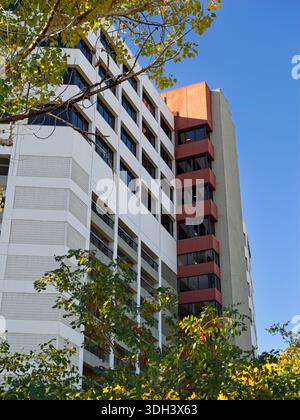 Mittelhoher Büroturm, eingerahmt von Herbstlaub unter blauem Himmel Stockfoto